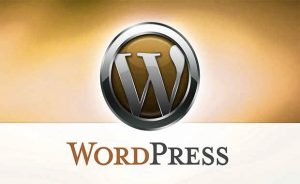 Wordpress Consultants in Berks County Pa